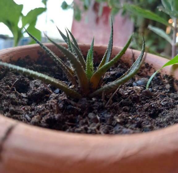 Tranquilandia Hostel