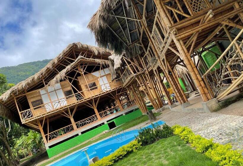住宿加早餐  Bambu Tayrona