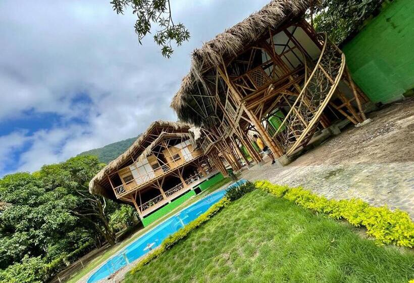 住宿加早餐  Bambu Tayrona