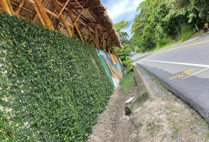 住宿加早餐  Bambu Tayrona