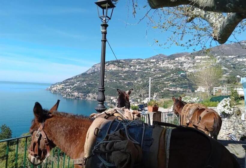 Bed and Breakfast Takeamalficoast Main House