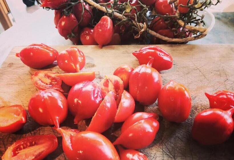 Bed and Breakfast Takeamalficoast Main House