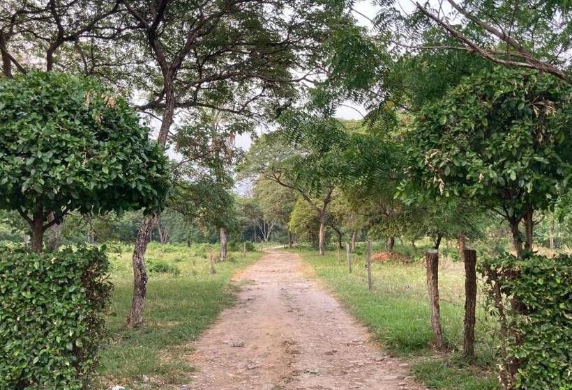 בית מלון כפרי El Broche