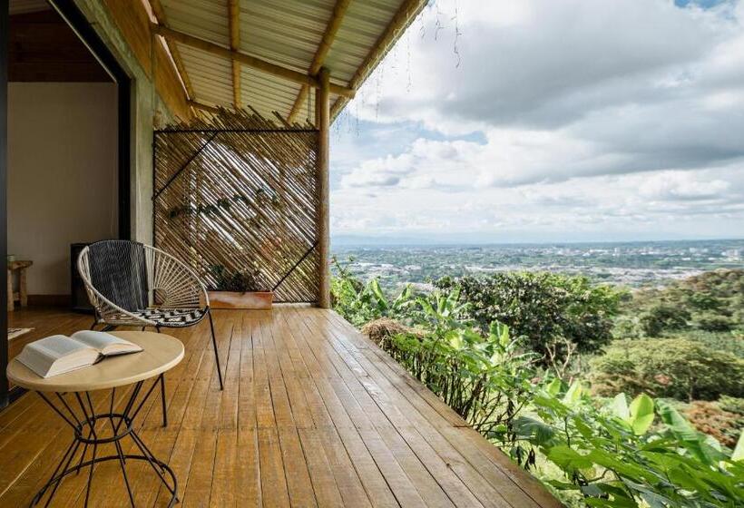 酒店 El Fenix Coffee