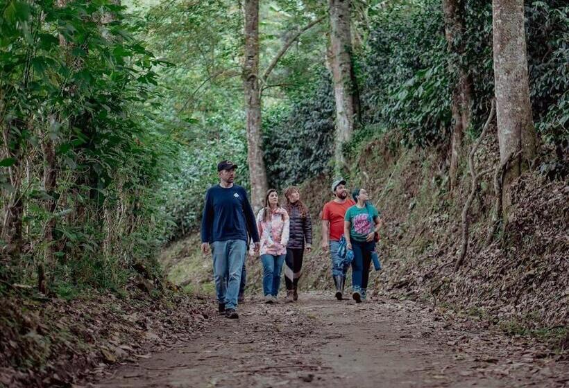 酒店 El Fenix Coffee