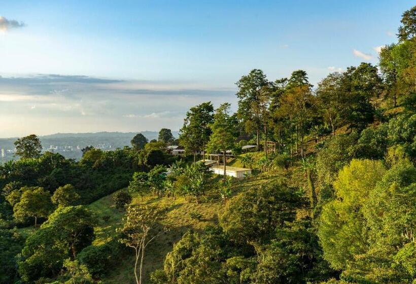 酒店 El Fenix Coffee