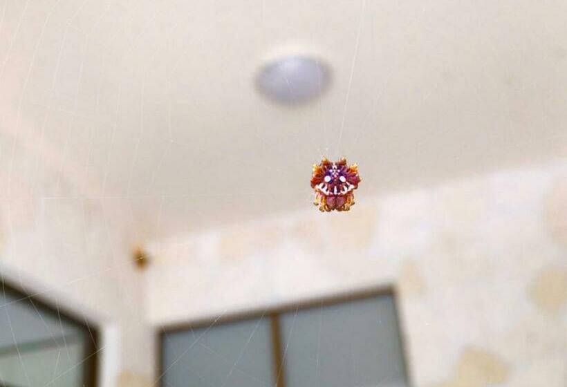 ホテル Kaya Resort Kourijima   Vacation Stay 95301v