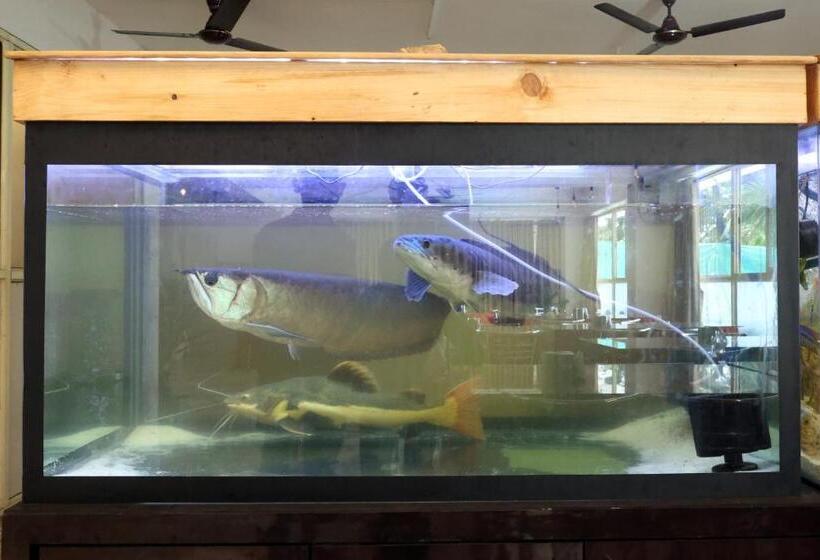 فندق Nilaya Nest Away