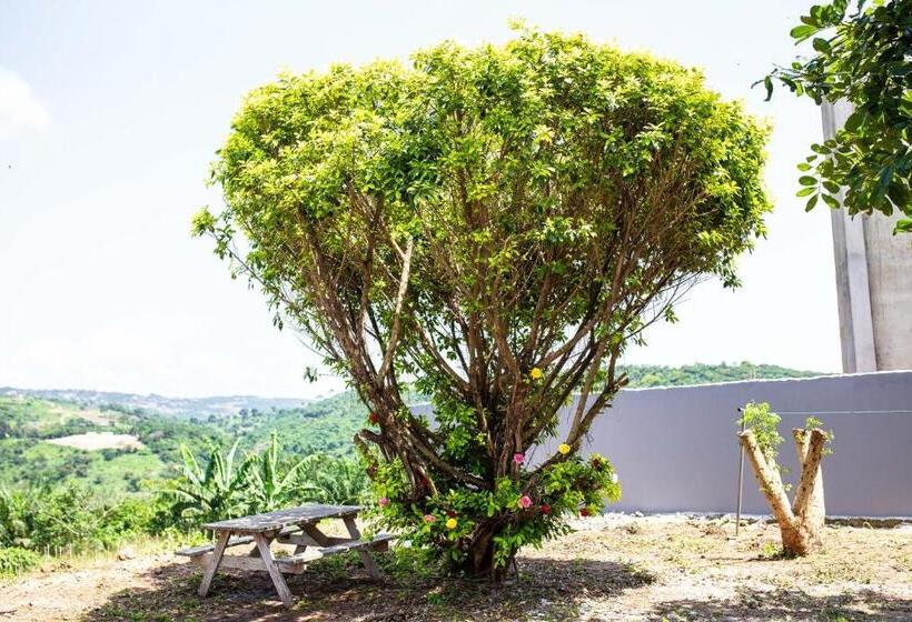 هتل Piano & Gold Collections, Peduase