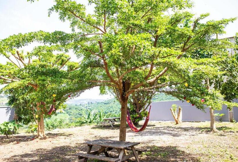 هتل Piano & Gold Collections, Peduase