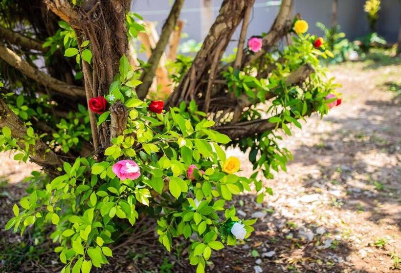 هتل Piano & Gold Collections, Peduase