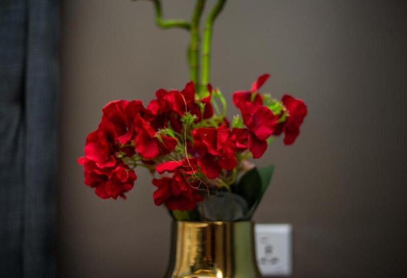 هتل Piano & Gold Collections, Peduase