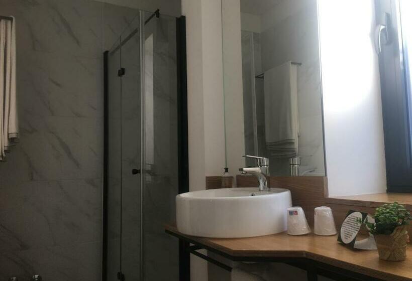 فندق Viseu Guest Inn