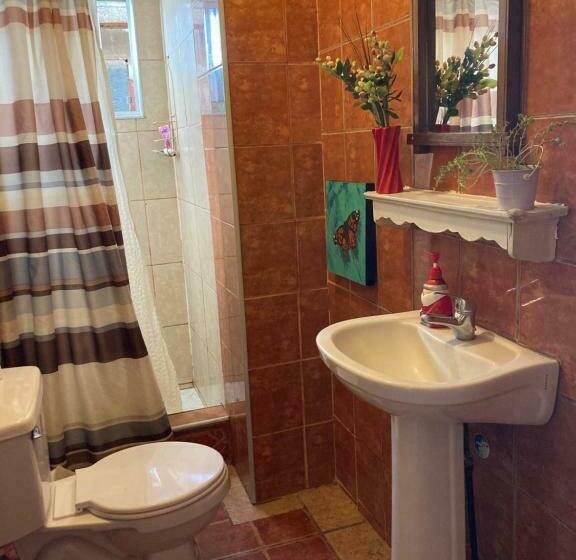 פנסיון Hostal Sol Temuco