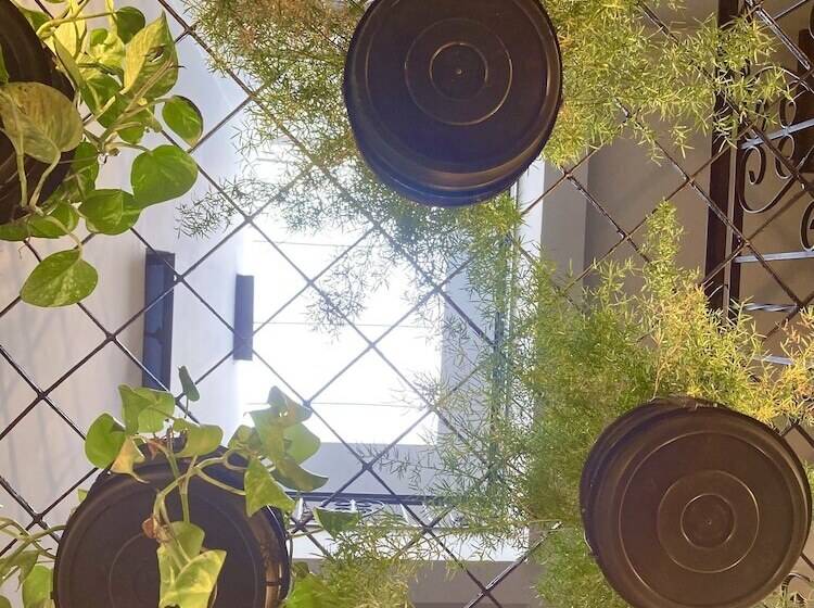 호스텔 Pousada Vilazinha