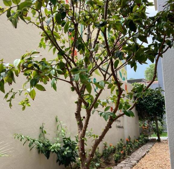 호스텔 Pousada Vilazinha