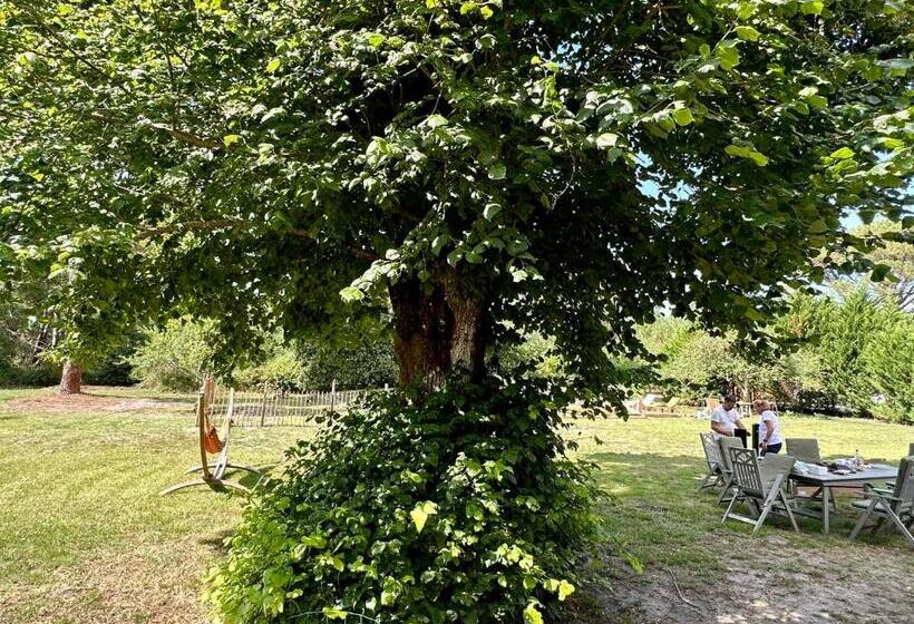 مبيت وإفطار Maison Magnolia