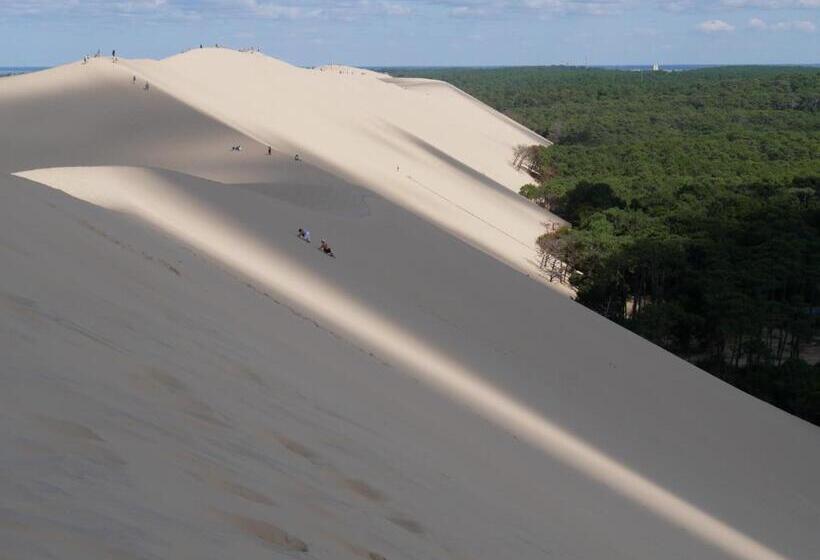 مبيت وإفطار Maison Magnolia