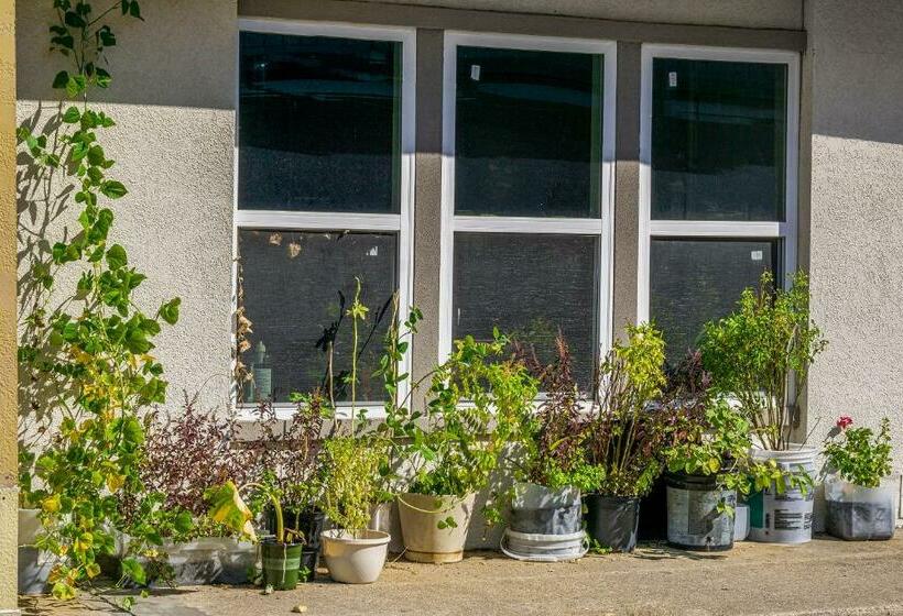 فندق Comfort Stay