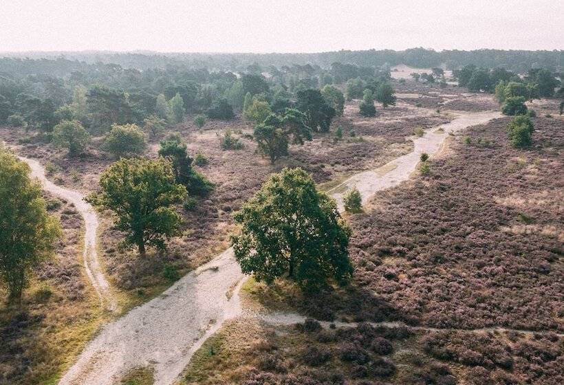 בית מלון כפרי De Wever Lodge