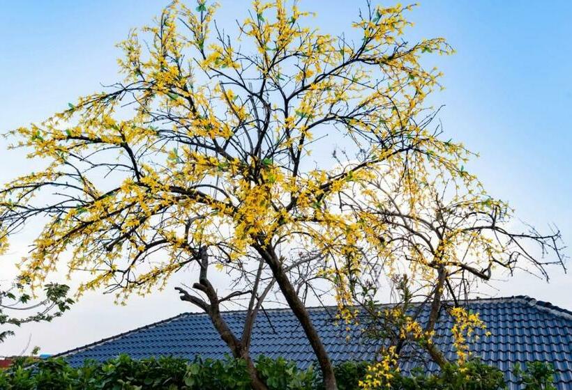 ホテル Floral  Shanshan Renjia Taishan Red