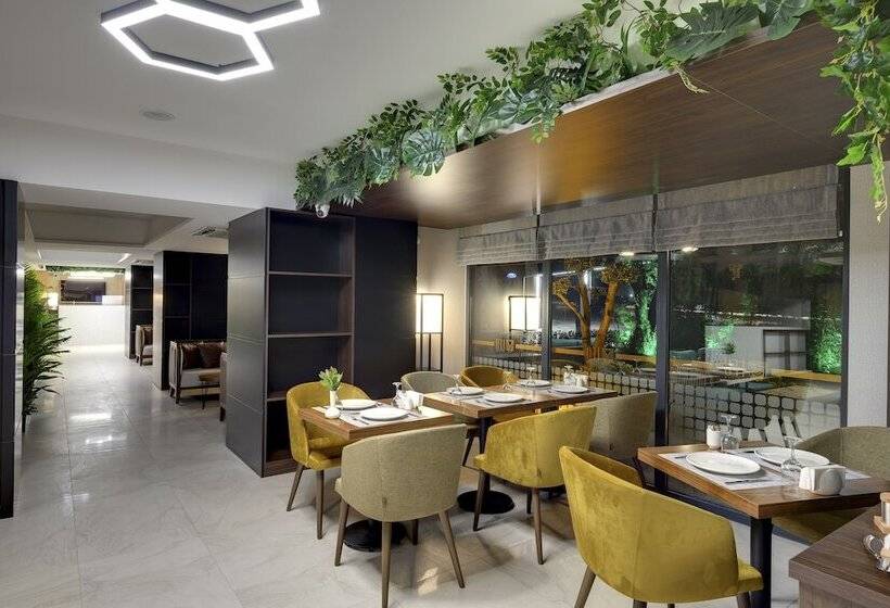 Отель Leo Suites