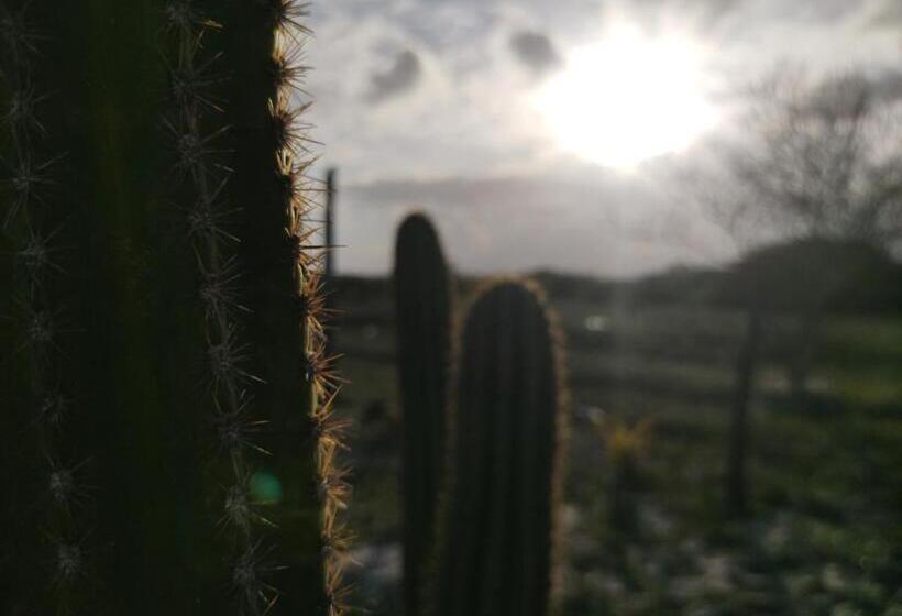 酒店 Pousada Céu Azul