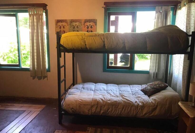 膳宿费 Hostel Raiz