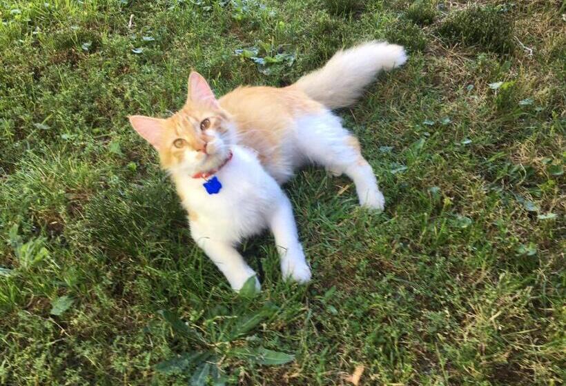 膳宿费 Hostel Raiz