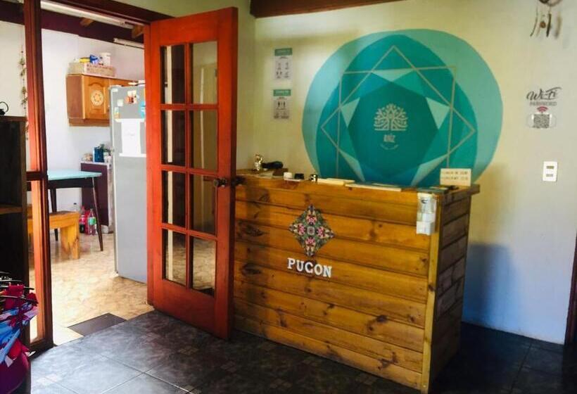 膳宿费 Hostel Raiz