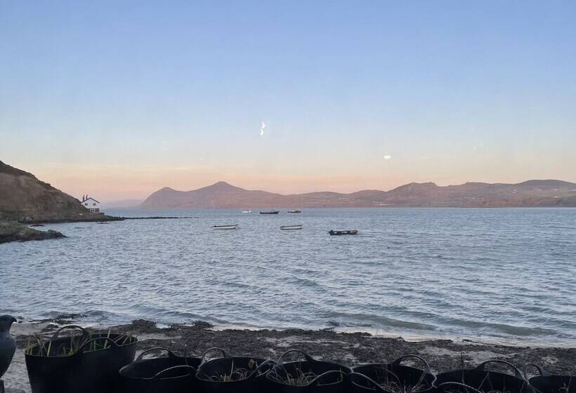 ベッドアンドブレックファースト Bryn Noddfa