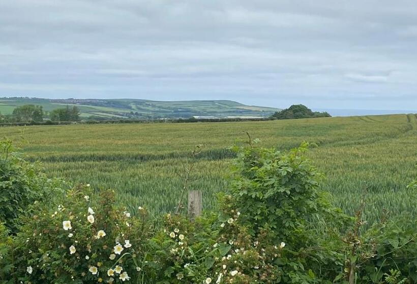 פנסיון Wheelhouse   Grinkle Bell Cottage