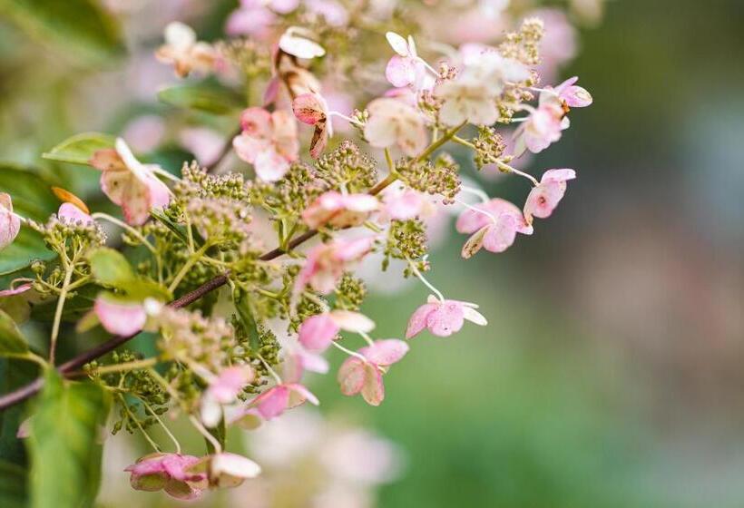 فندق صغير The Village Inn