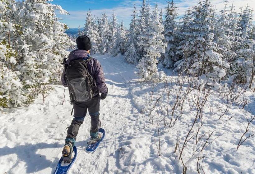 فندق صغير The Village Inn