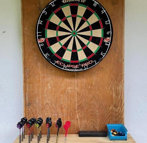 Общежитие Backyard Mountain