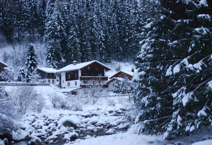 Общежитие Backyard Mountain