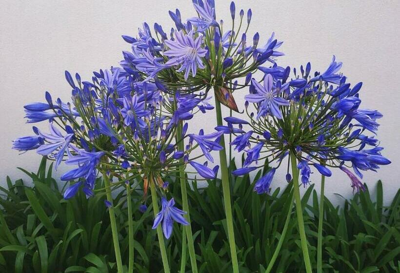 Bed and Breakfast Escapade Au Coeur De La Riviera Bretonne