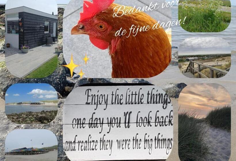 צימר Tuinhuis Duinroos Deluxe