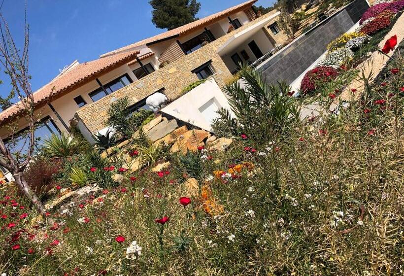 Bed and Breakfast Villa Padi La Cadière D Azur