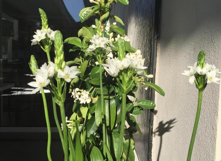 Bed and Breakfast Villa Padi La Cadière D Azur