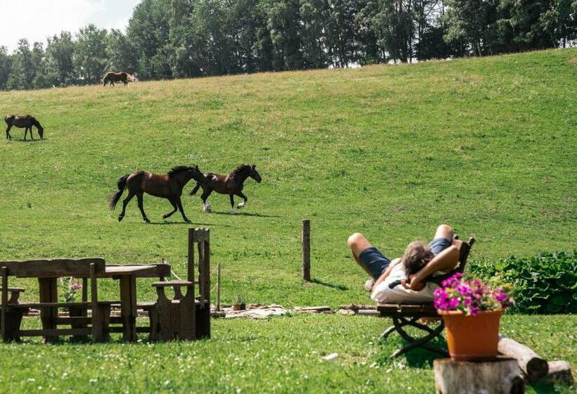 호텔 Penzion La Baita