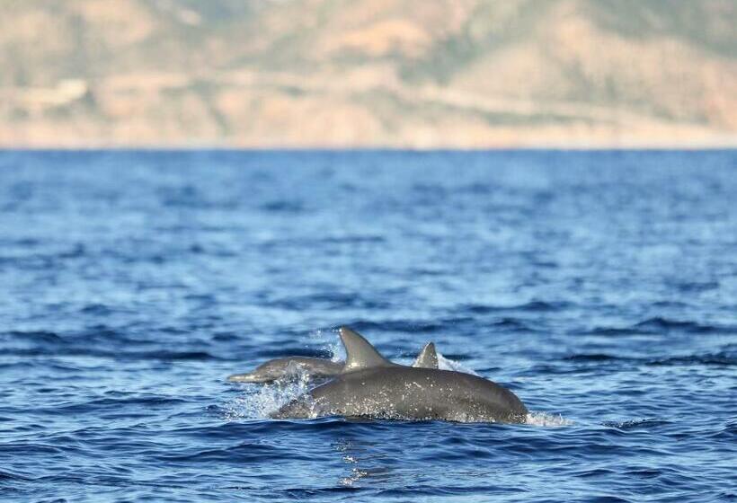 Отель Todo Bien