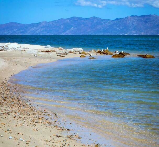 Отель Todo Bien