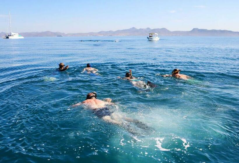 Отель Todo Bien