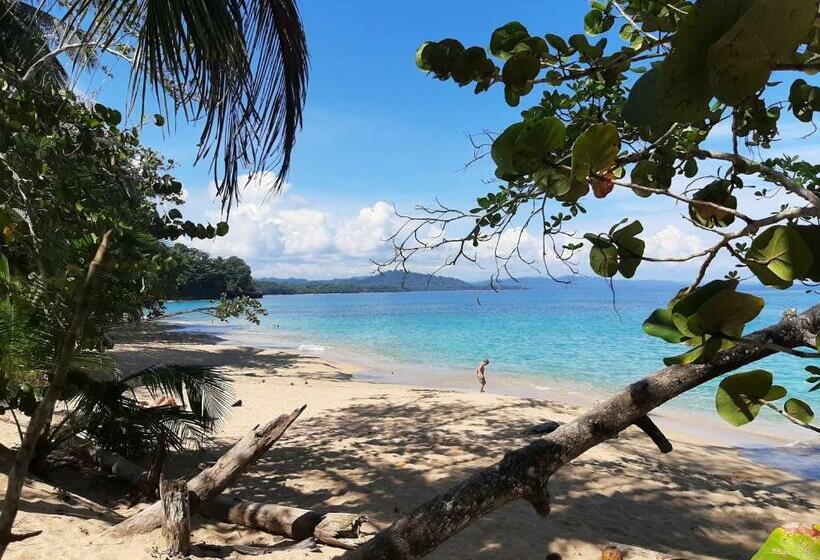 Ocean S Breeze Apartment And Rooms