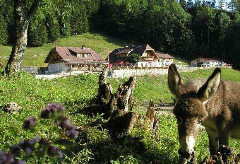 ペンション Ferienwohnung Hochsteinalm