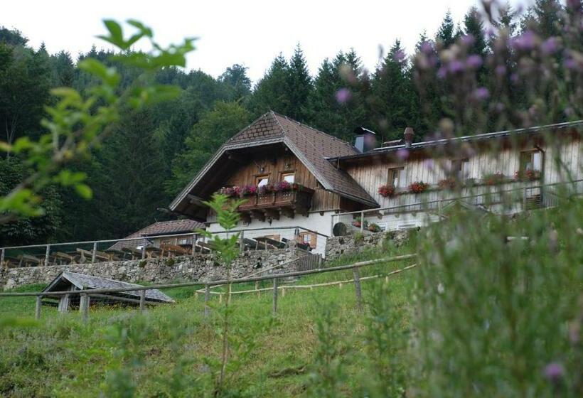 ペンション Ferienwohnung Hochsteinalm