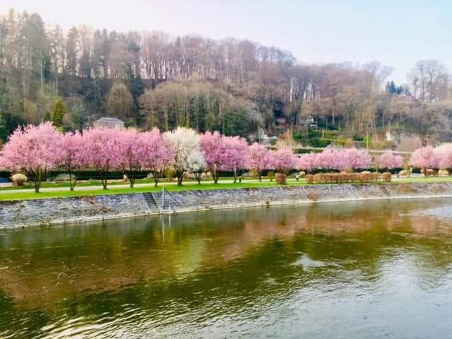 פנסיון Lî Stôle