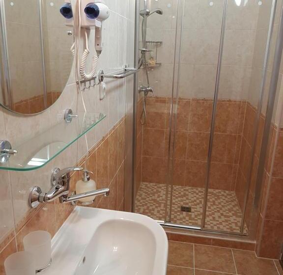 פנסיון Penzion Trödler