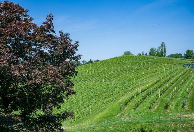 膳宿费 Residenz Styrian Toskana Splendid